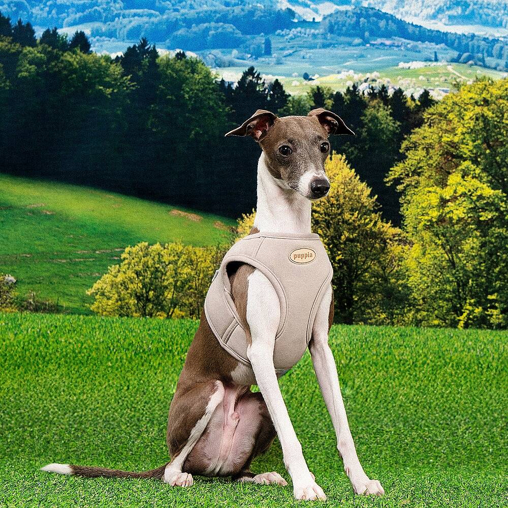 ECO TERRA B HARNESS / BEIGE - 4
