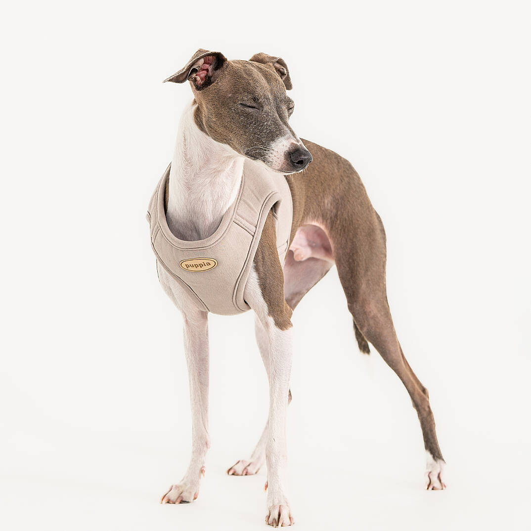 ECO TERRA B HARNESS / BEIGE - 5