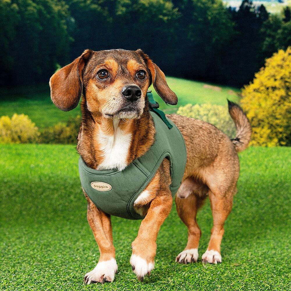 ECO TERRA B HARNESS / KHAKI - 3