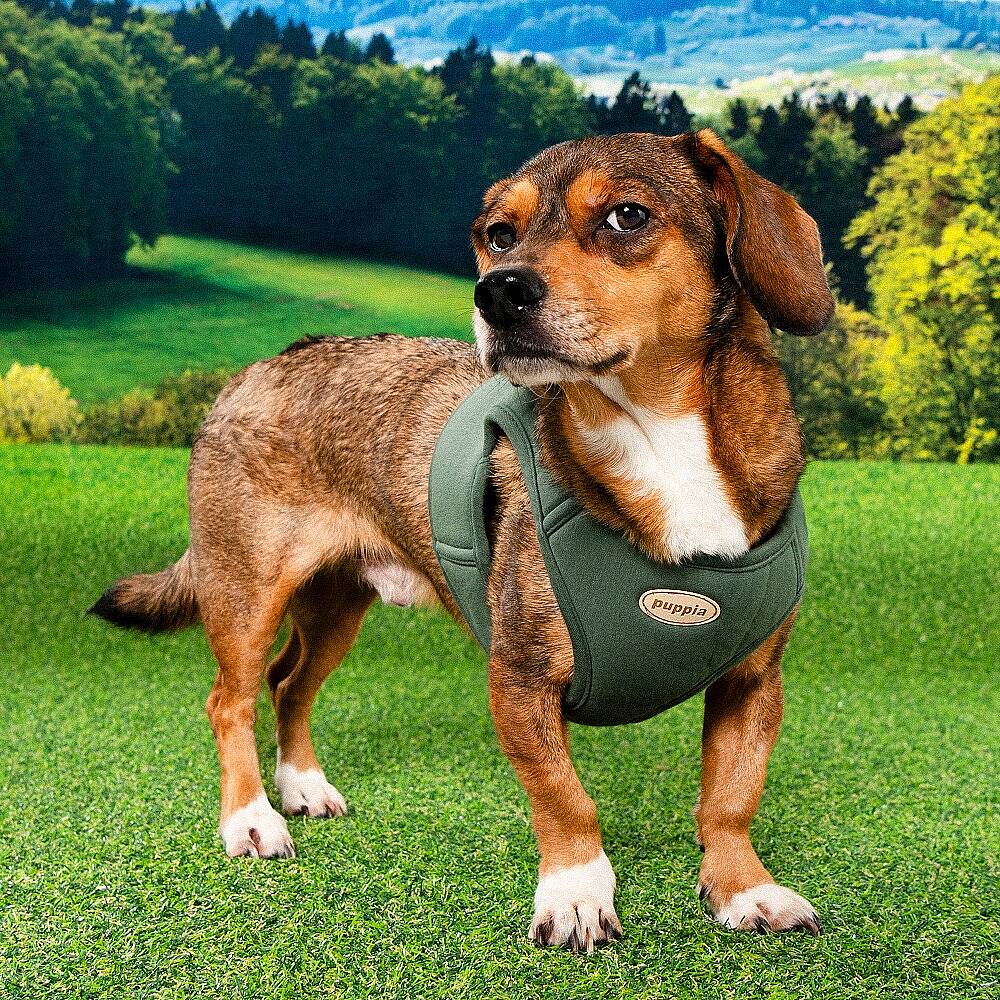 ECO TERRA B HARNESS / KHAKI - 4