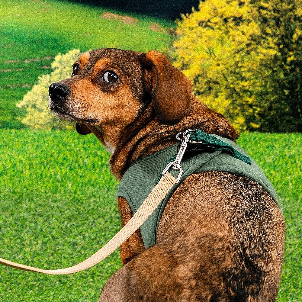 ECO TERRA B HARNESS / KHAKI - 5