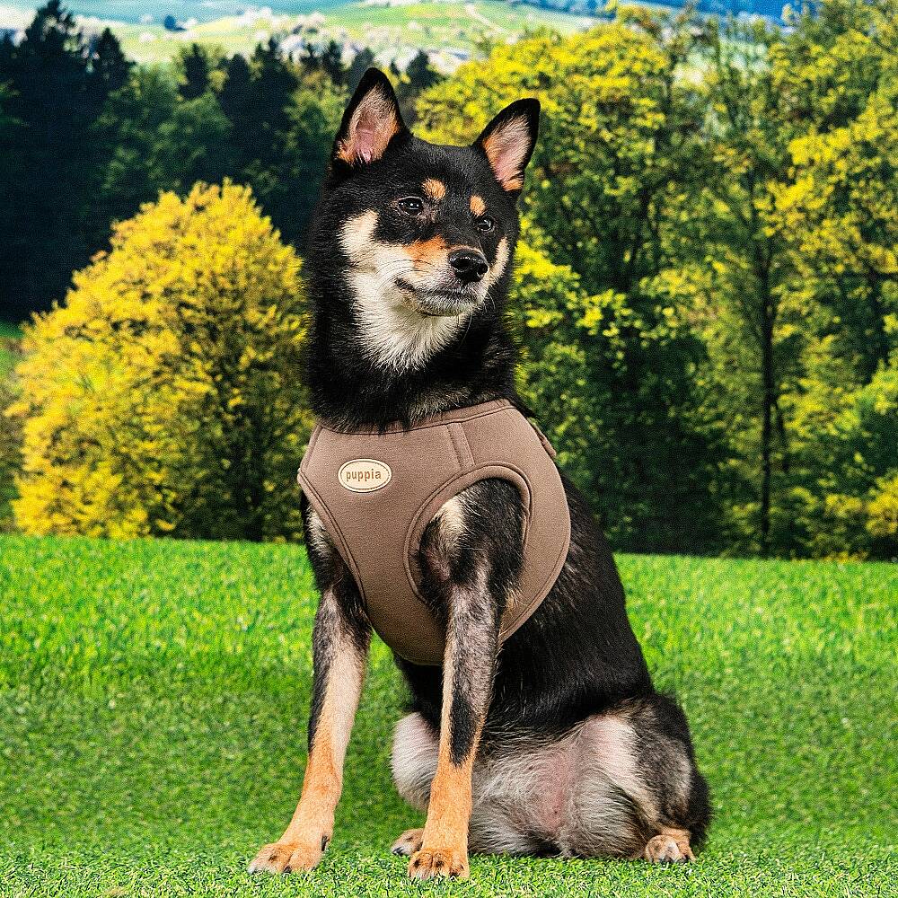 ECO TERRA Q HARNESS / BROWN - 5