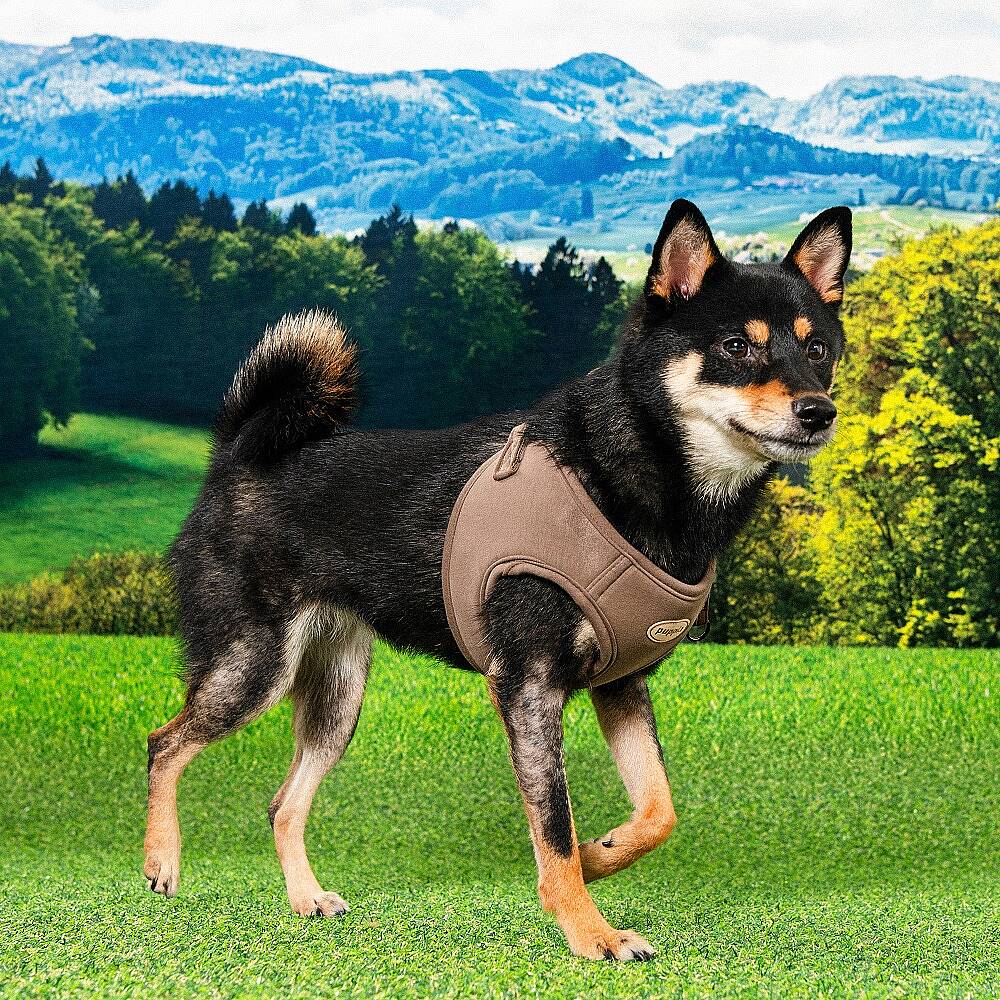 ECO TERRA Q HARNESS / BROWN - 6