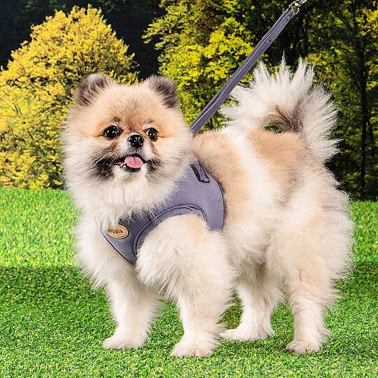 ECO TERRA Q HARNESS / GREY - 6