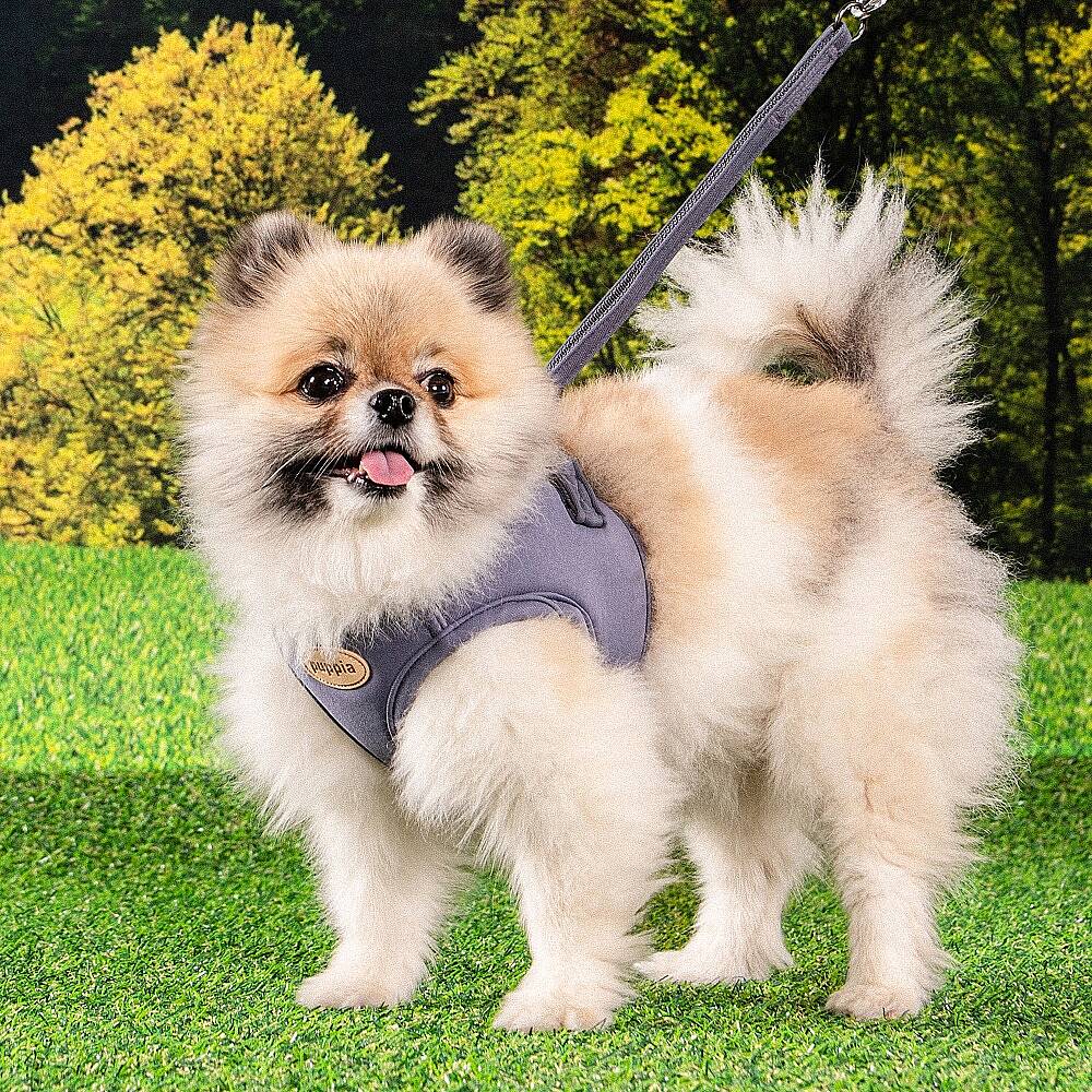 ECO TERRA Q HARNESS / GREY - 6