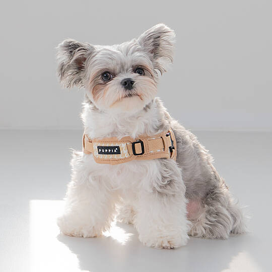 EGON HARNESS X / BEIGE - 7