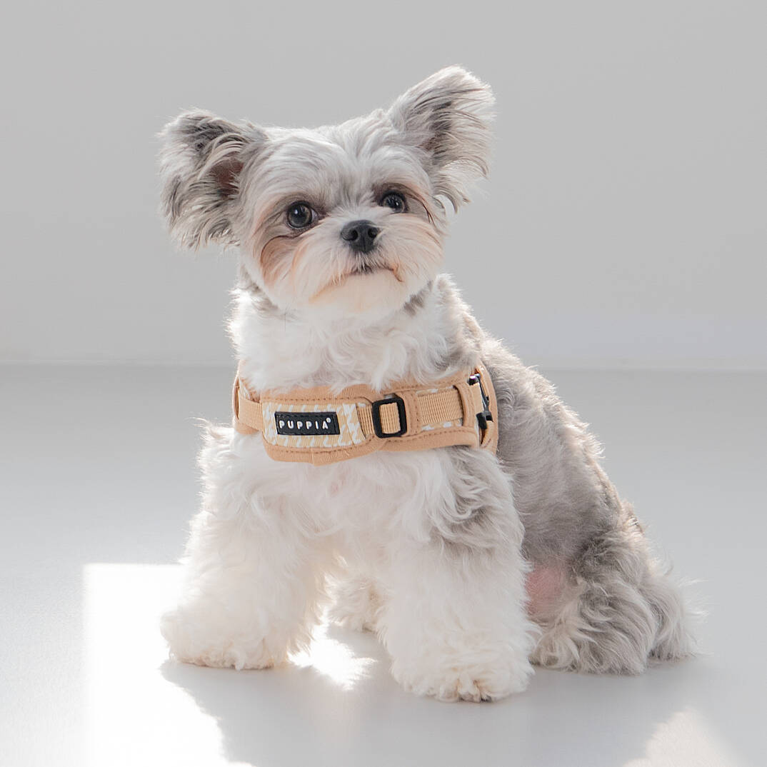 EGON HARNESS X / BEIGE - 7