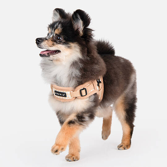 EGON HARNESS X / BEIGE - 9