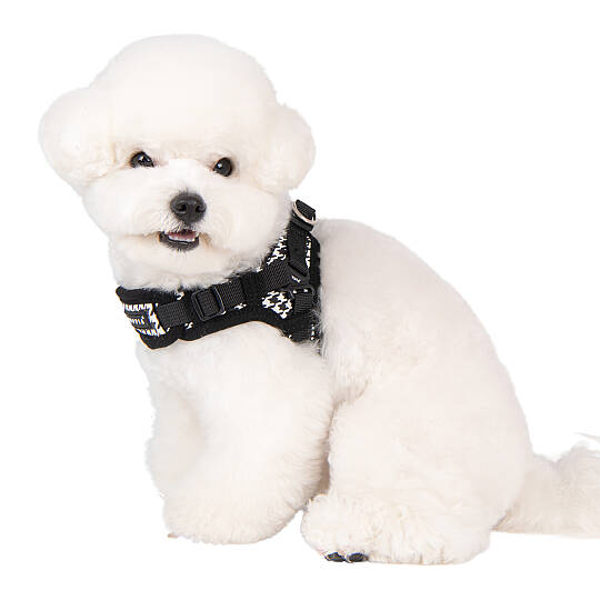 EGON HARNESS X / BLACK - 8