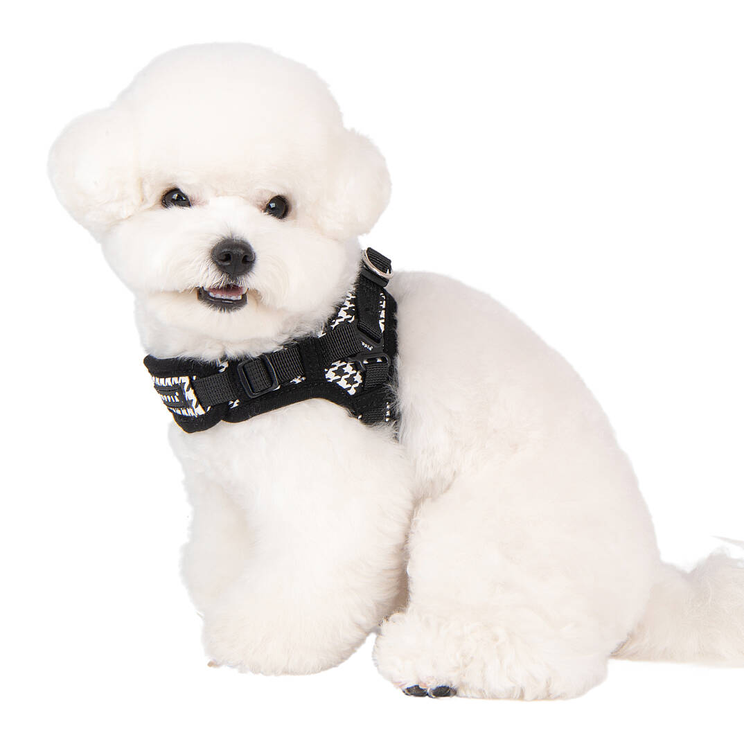 EGON HARNESS X / BLACK - 8