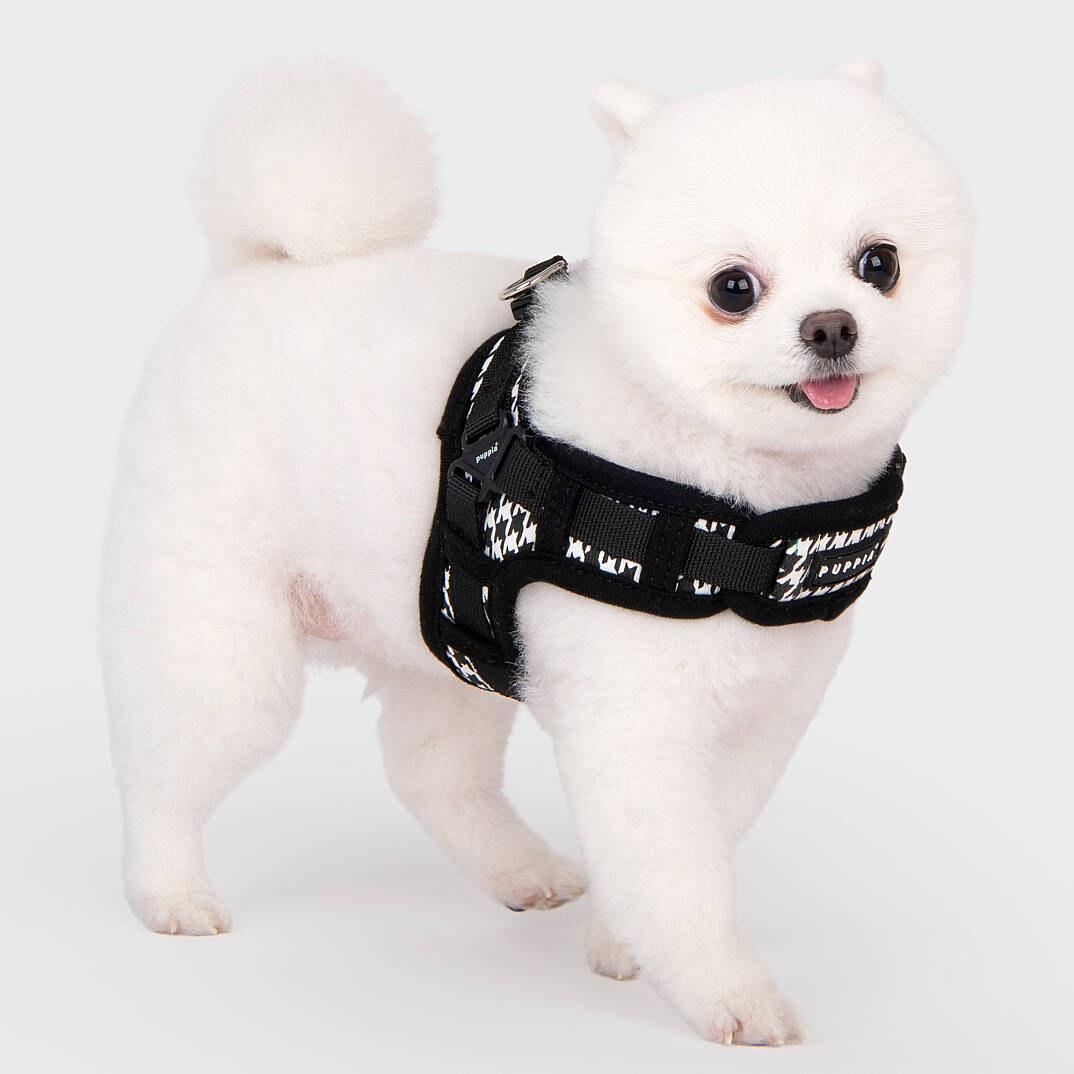 EGON HARNESS X / BLACK - 9