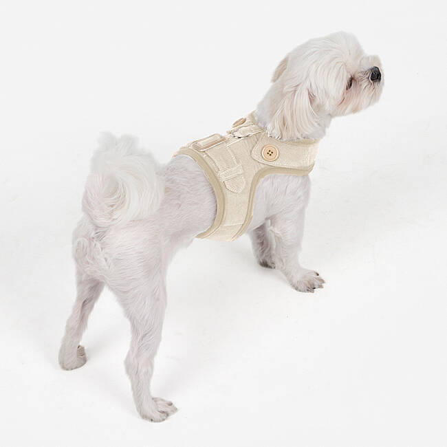 EMMIE PINKA HARNESS/BEIGE - 3