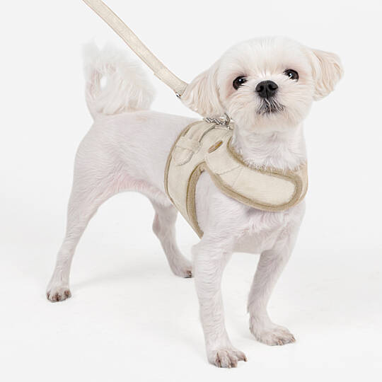EMMIE PINKA HARNESS/BEIGE - 5