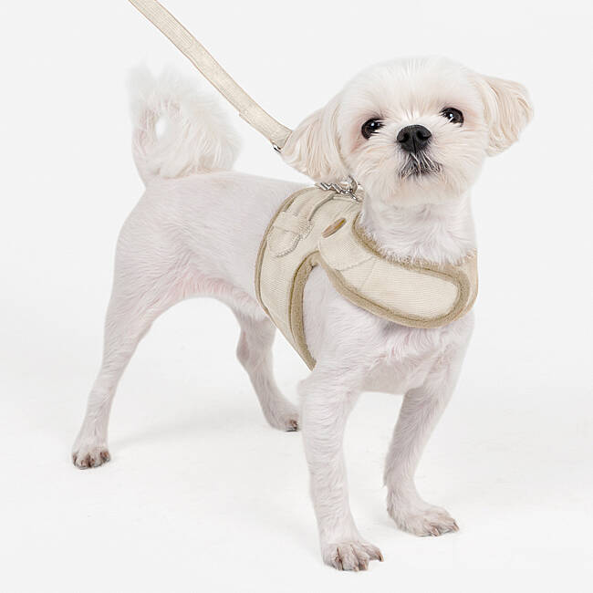 EMMIE PINKA HARNESS/BEIGE - 5