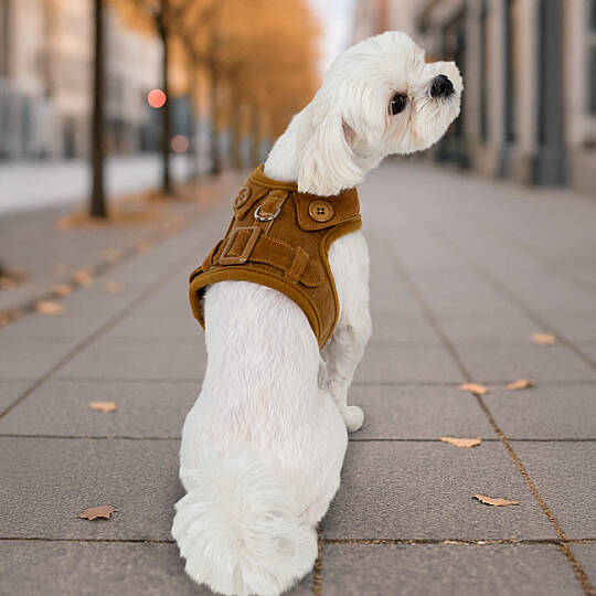 EMMIE PINKA HARNESS/BROWN - 4