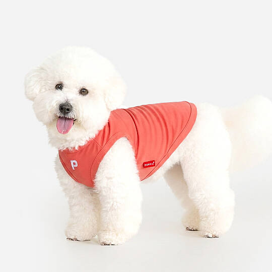 ESSENTIAL / RED - 4
