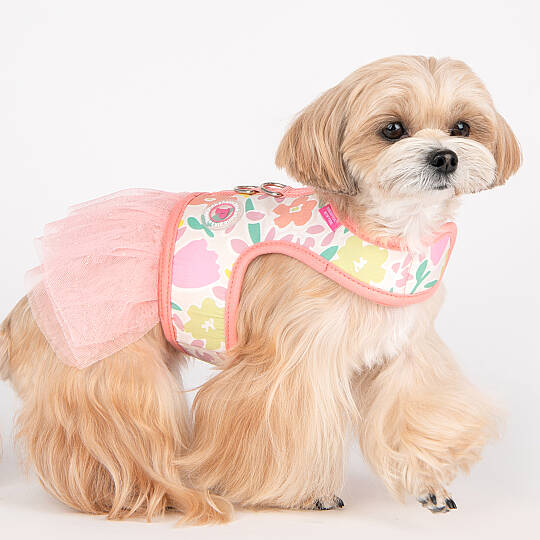 EVANTHE FLIRT HARNESS / INDIAN PINK - 9