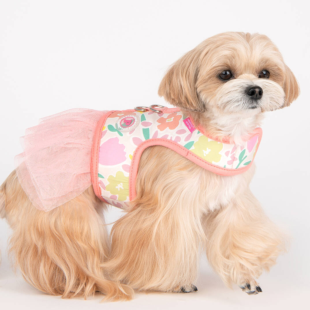EVANTHE FLIRT HARNESS / INDIAN PINK - 9