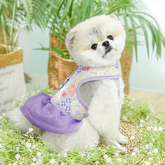 EVANTHE FLIRT HARNESS / PURPLE - 7