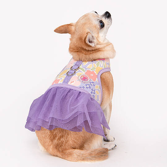 EVANTHE FLIRT HARNESS / PURPLE - 8