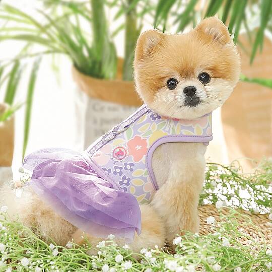 EVANTHE FLIRT HARNESS / PURPLE - 9