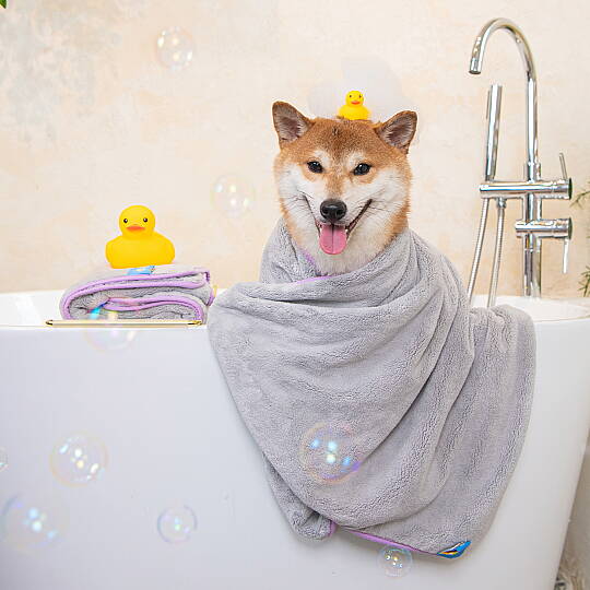 Everyday Towel Evcil Hayvan Havlusu - 5