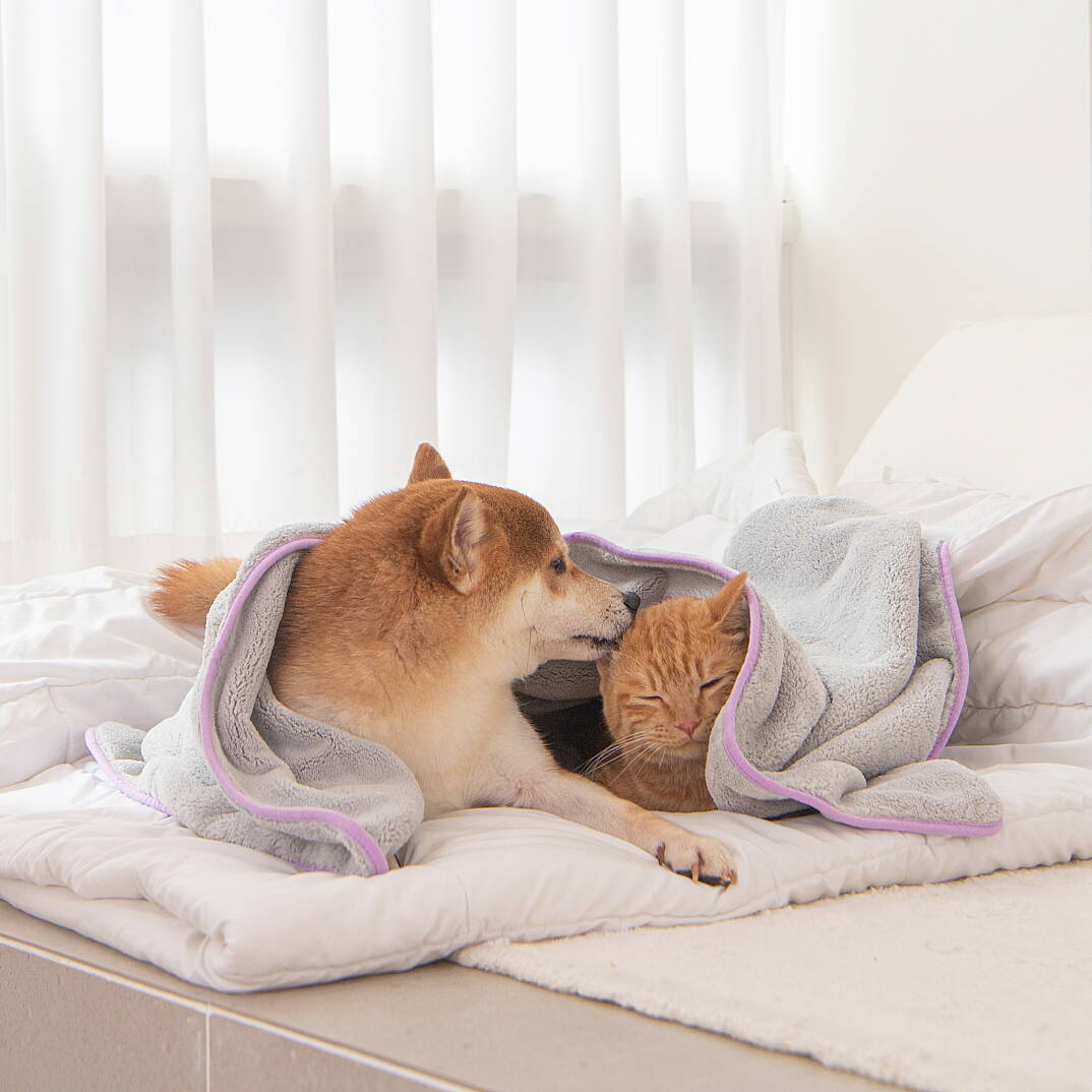 Everyday Towel Evcil Hayvan Havlusu - 6