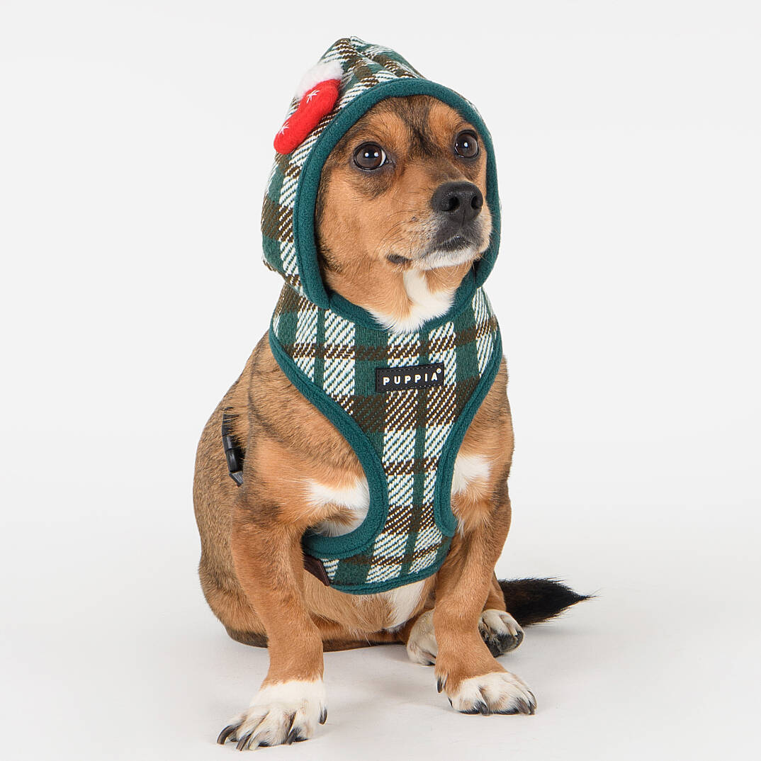 FESTIVE HARNESS A/GREEN/PAYD-HA2139-GR - 5