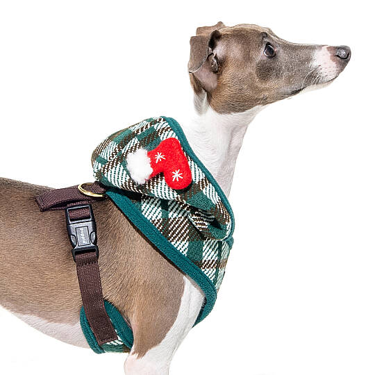 FESTIVE HARNESS A/GREEN/PAYD-HA2139-GR - 7