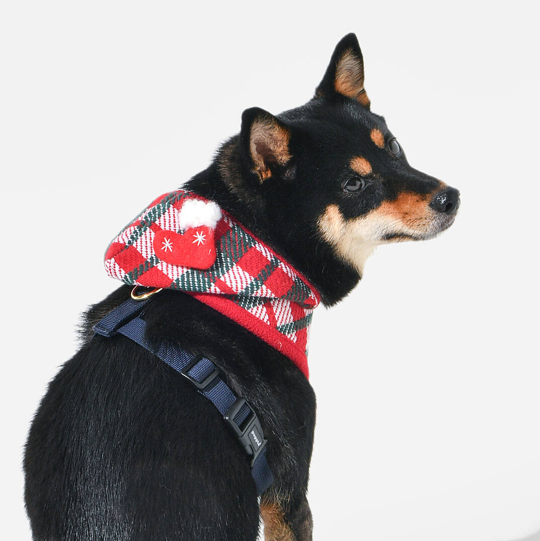 FESTIVE HARNESS A/RED/PAYD-HA2139-RD - 6