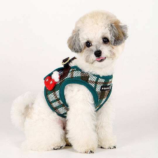 FESTIVE HARNESS B/GREEN/PAYD-HB2139-GR - 4