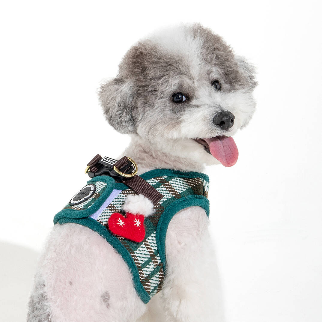 FESTIVE HARNESS B/GREEN/PAYD-HB2139-GR - 5