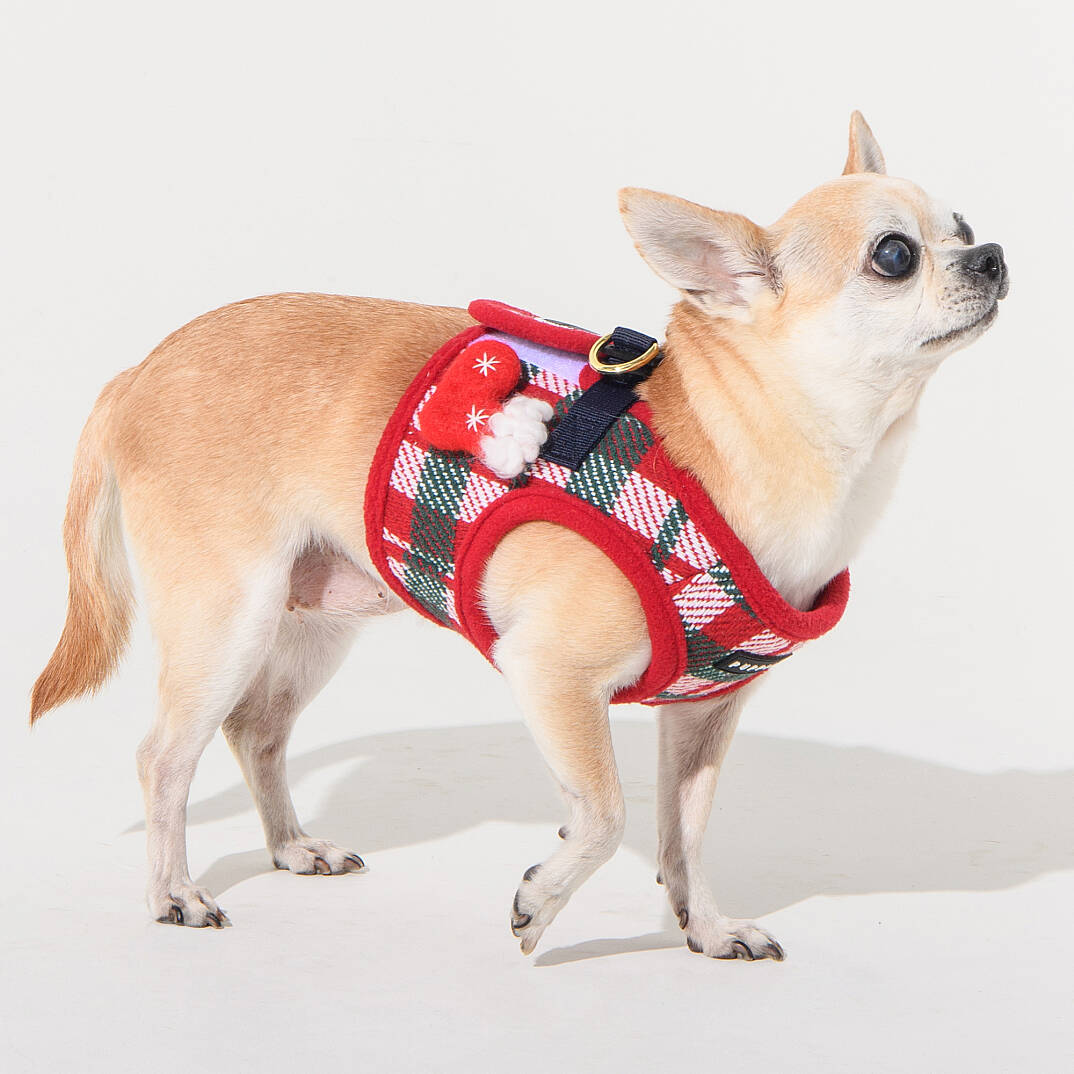 FESTIVE HARNESS B/RED/PAYD-HB2139-RD - 5