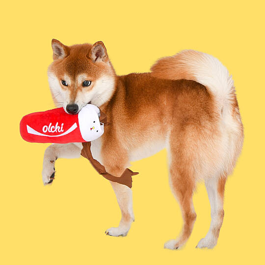 FİVEDOGS DRİNK/RED - 5