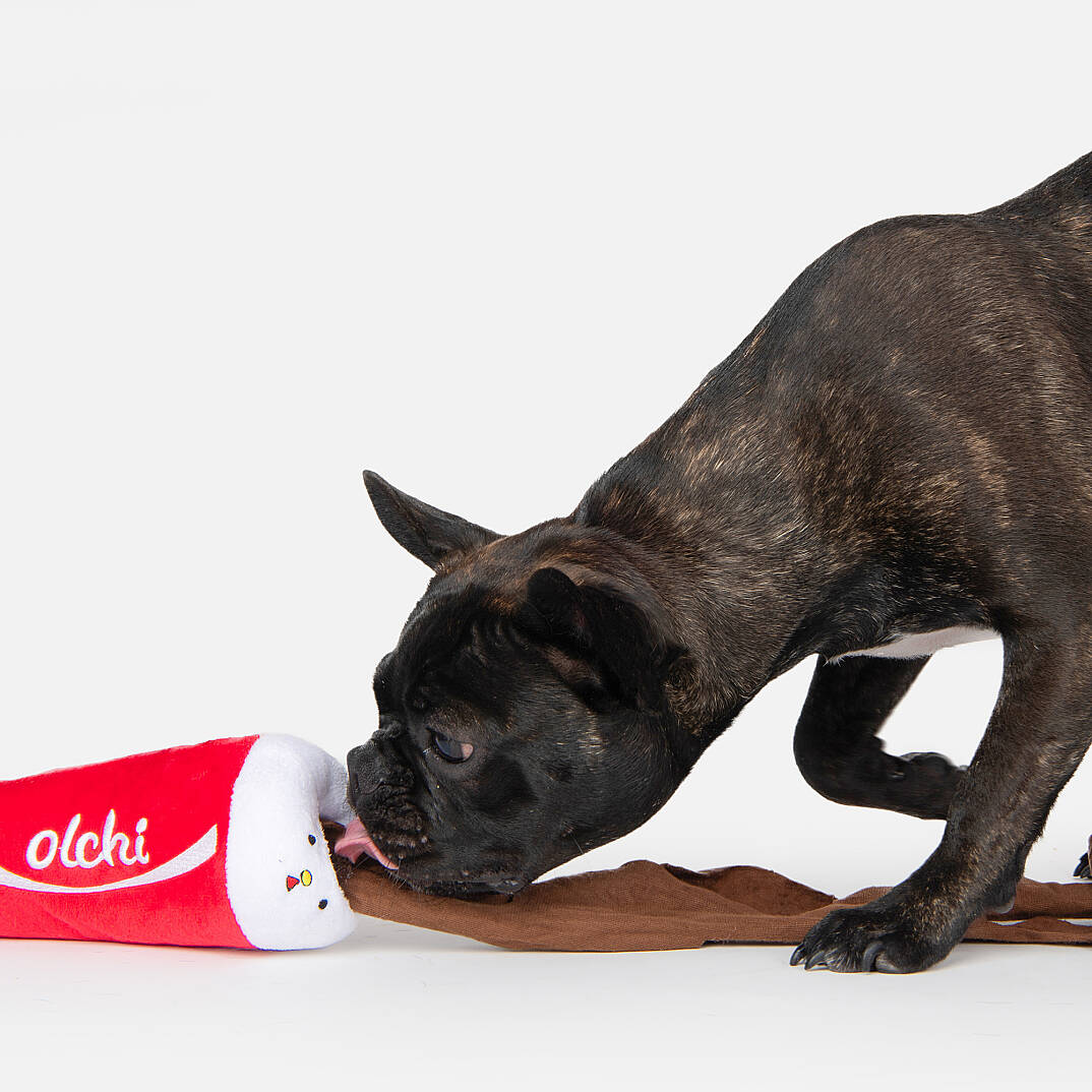 FİVEDOGS DRİNK/RED - 6