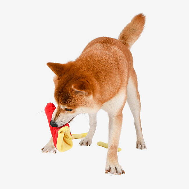 FİVEDOGS FRİED POTATO/YELLOW - 5