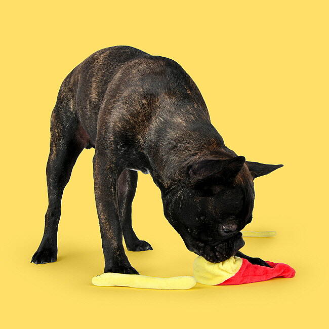 FİVEDOGS FRİED POTATO/YELLOW - 7