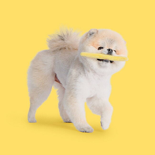 FİVEDOGS FRİED POTATO/YELLOW - 9