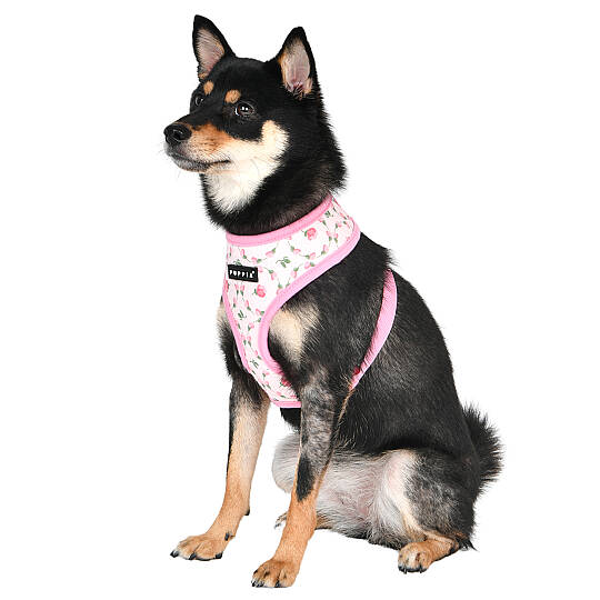 FLORIAN HARNESS A / PINK - 7