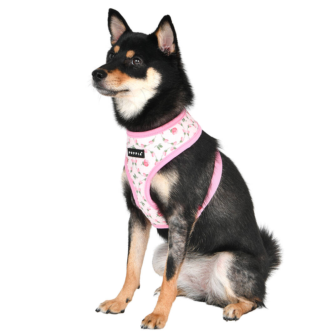 FLORIAN HARNESS A / PINK - 7