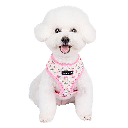 FLORIAN HARNESS A / PINK - 9