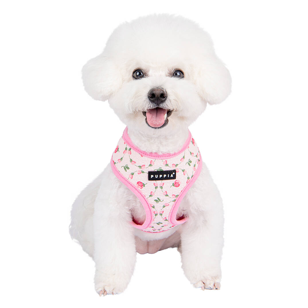 FLORIAN HARNESS A / PINK - 9
