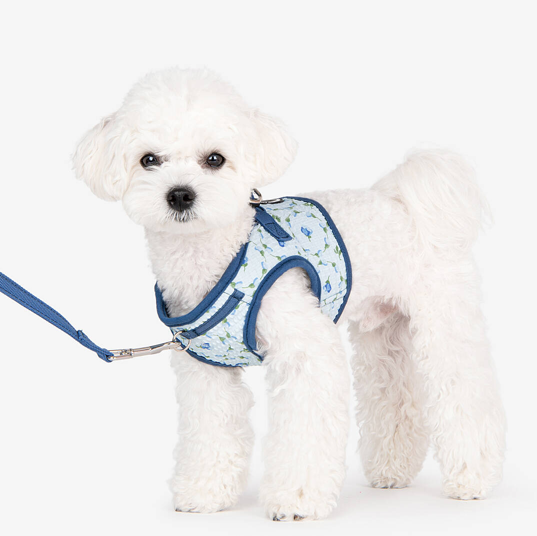 FLORIAN HARNESS B / BLUE - 8
