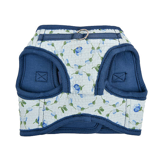 FLORIAN HARNESS B / BLUE - 2