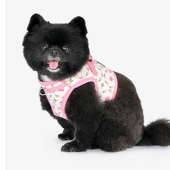 FLORIAN HARNESS B / PINK - 9