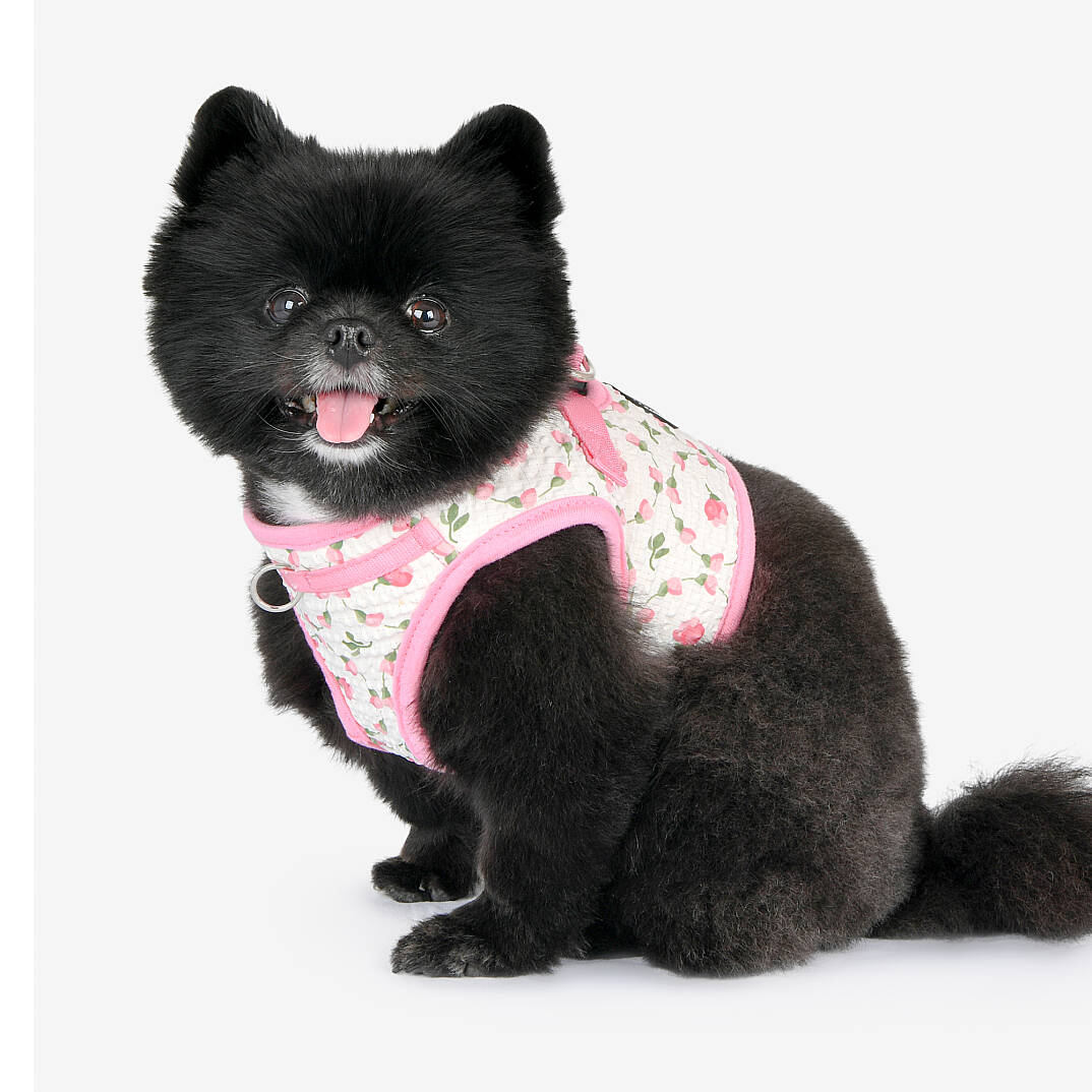 FLORIAN HARNESS B / PINK - 9
