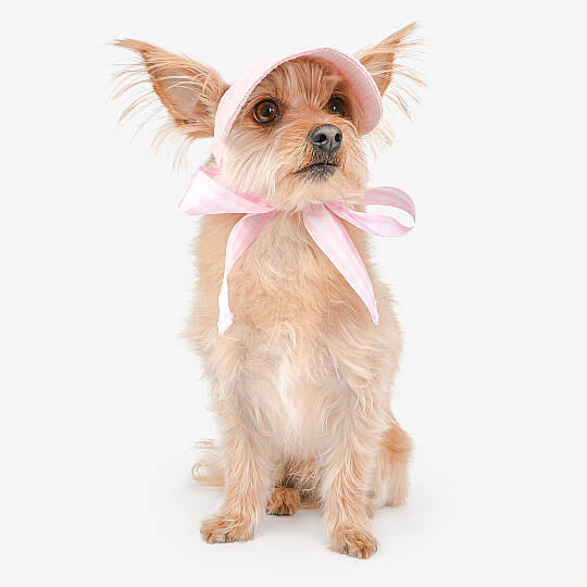 Flower Picnic Visor/PINK - 5