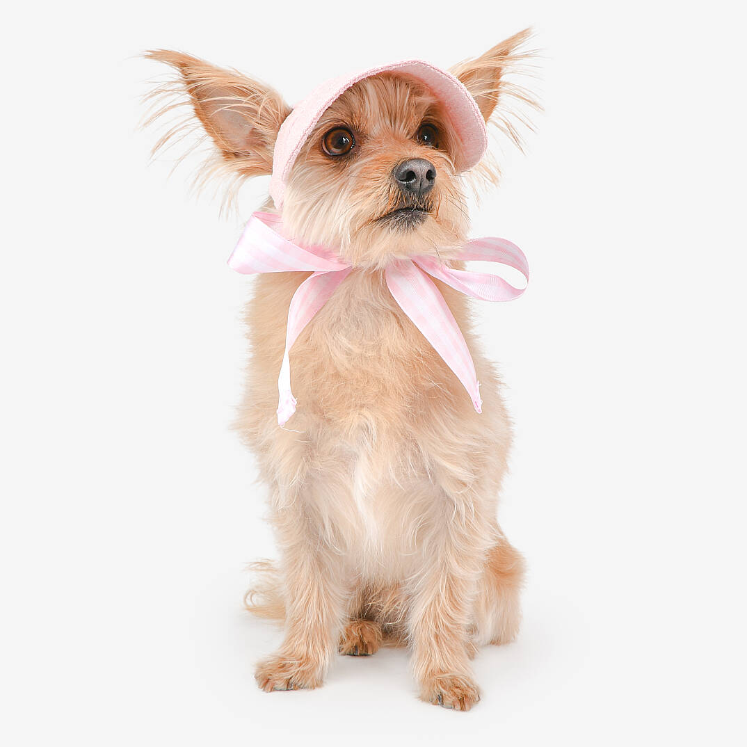 Flower Picnic Visor/PINK - 5