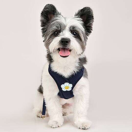 FLOWER X HARNESS / NAVY - 6