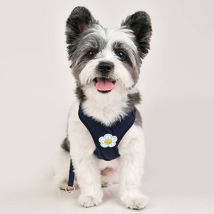 FLOWER X HARNESS / NAVY - 6